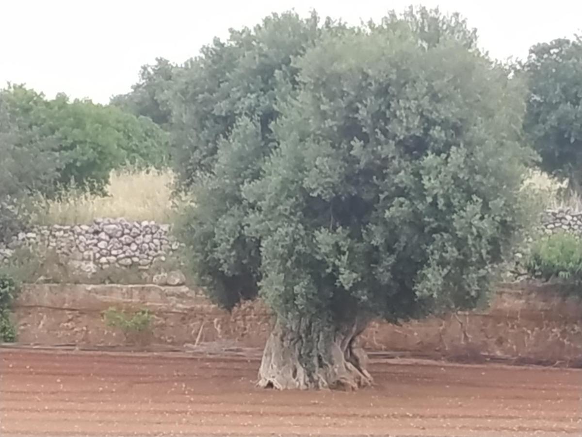 Hotel Masseria Auina Fasano Exteriér fotografie