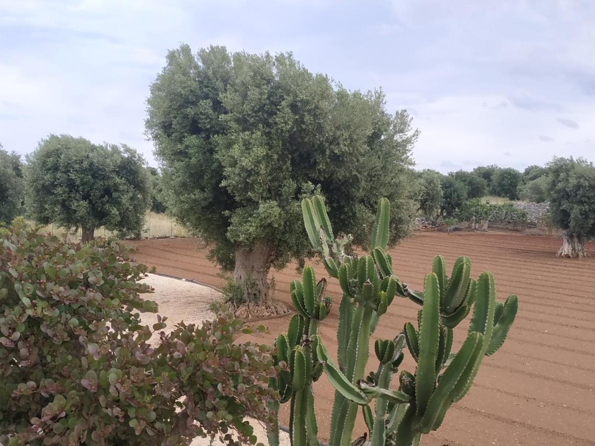 Hotel Masseria Auina Fasano Exteriér fotografie
